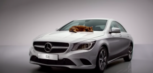 Mercedes-Benz cat commercial