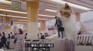 japanese cat commercial man at subway