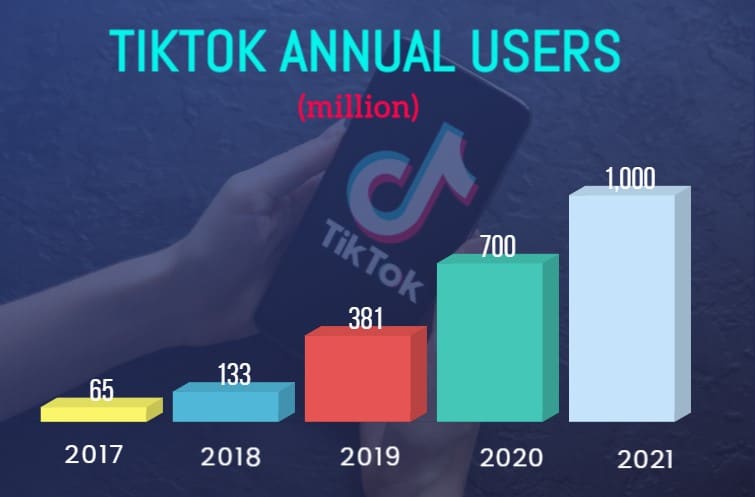 TikTok Annual Users Statistic