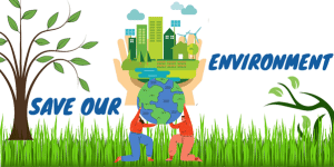 Reduce Impact on Environment